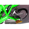 Pocket bike 49cc ZX-50R - vert Pocket Bike & Pocket Quad