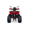 Quad enfant 125cc semi-automatique Grizz rouge Quad enfant